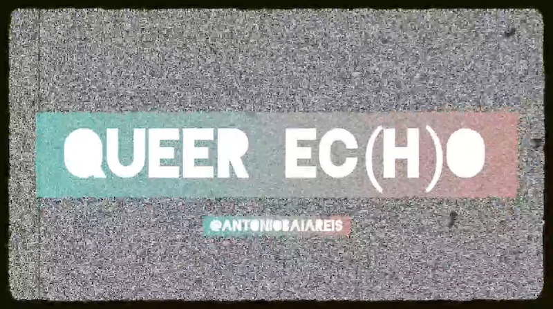 White text on a grey background reads: Queer e(c)ho
