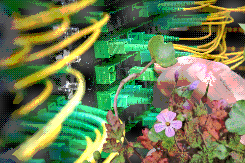 A hand plugging wires into a server with weeds collaged on top