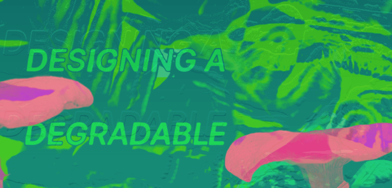 text 'Designing A Degradable Video Game' on a colorised red and green background of mushrooms and forest collage