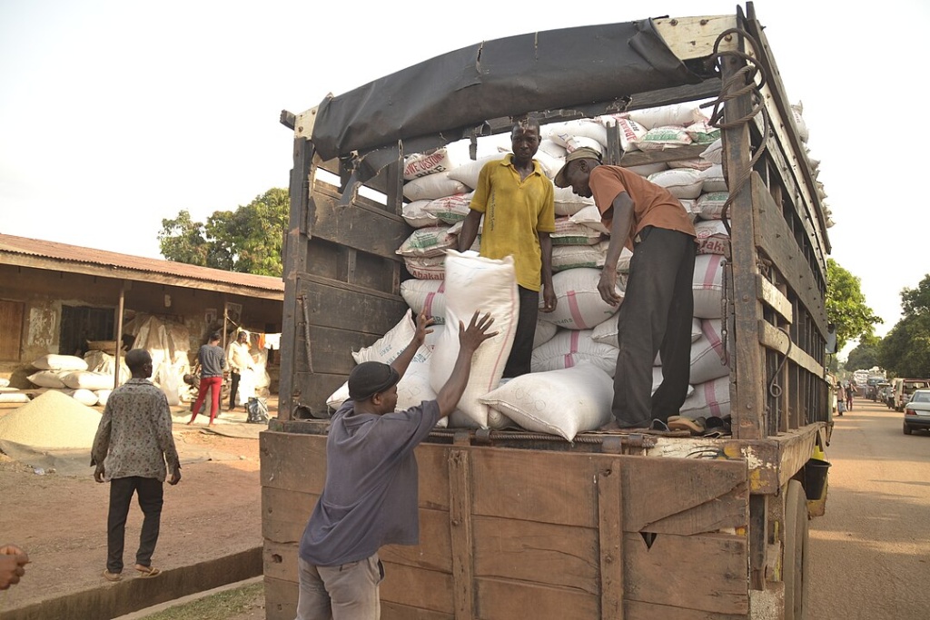 people loading bags of rice onto the back of a truck