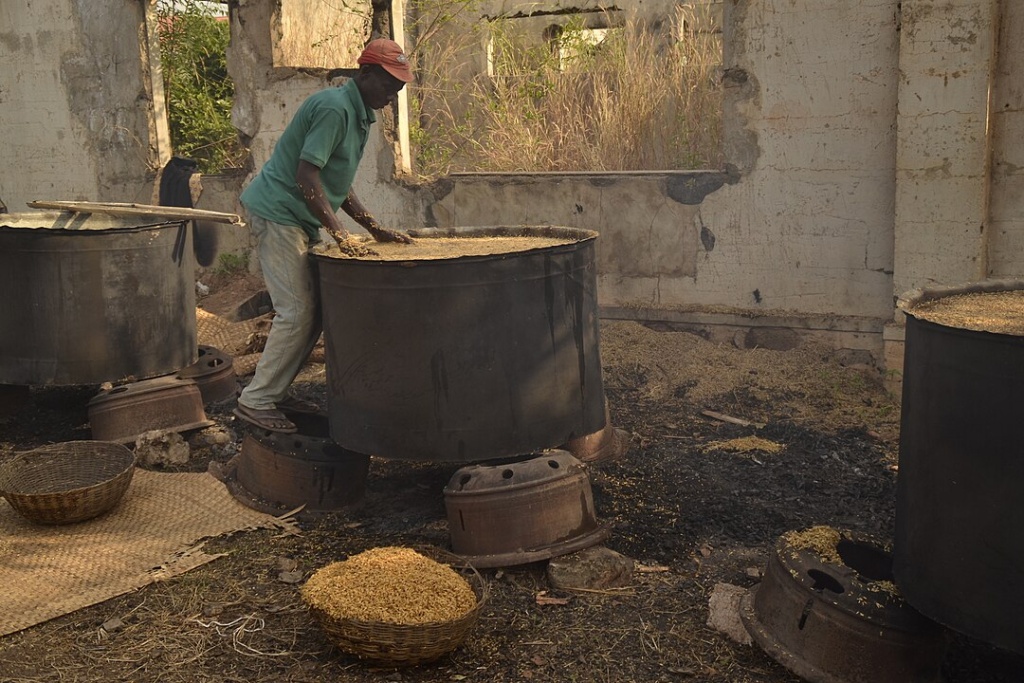 person processes rice in a large drum in a rural farm building