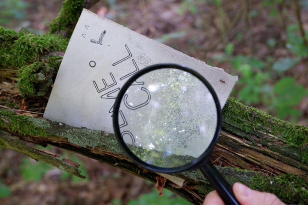 A piece of paper called slime call with a magnifying glass