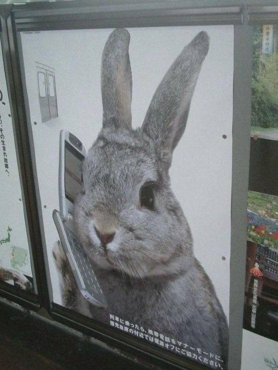 a picture of an advert of a bunny using a phone