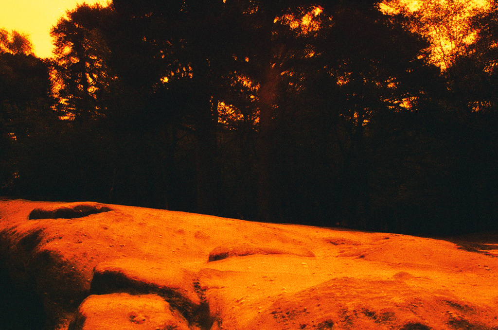 a blurred redscale photograph of a rocky surface with tree silhouettes behind