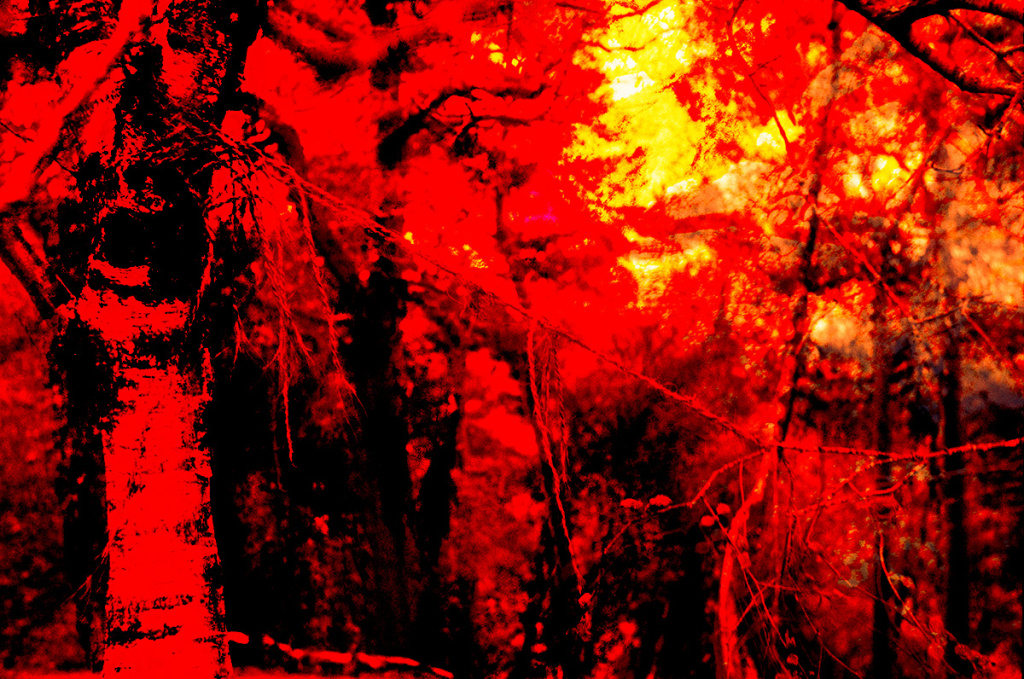 a red filtered photocollage of two tree landscapes, a string hangs across the middle