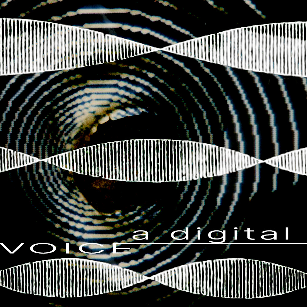 A Digital Voice 8