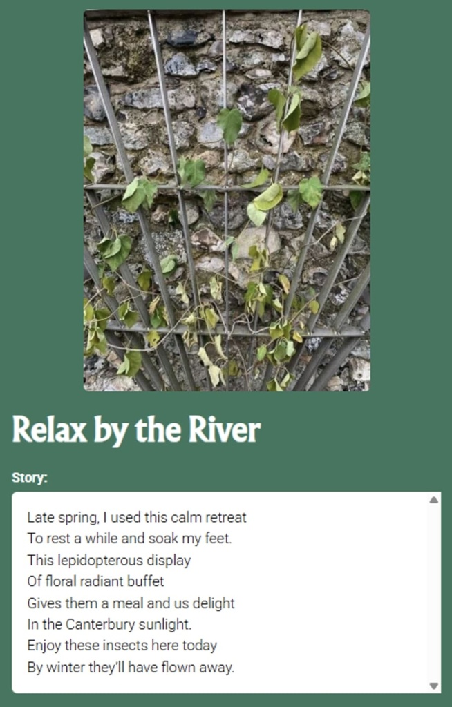 Pin the Tale story with image of river fence with weeds: Relax by the River Story. Late spring. I used this calm retreat To rest a while and soak my feet. This lepidopterous display Of floral radiant buffet Gives them a meal and us delight In the Canterbury sunlight. Enjoy these insects here today By winter they'll have flown away.